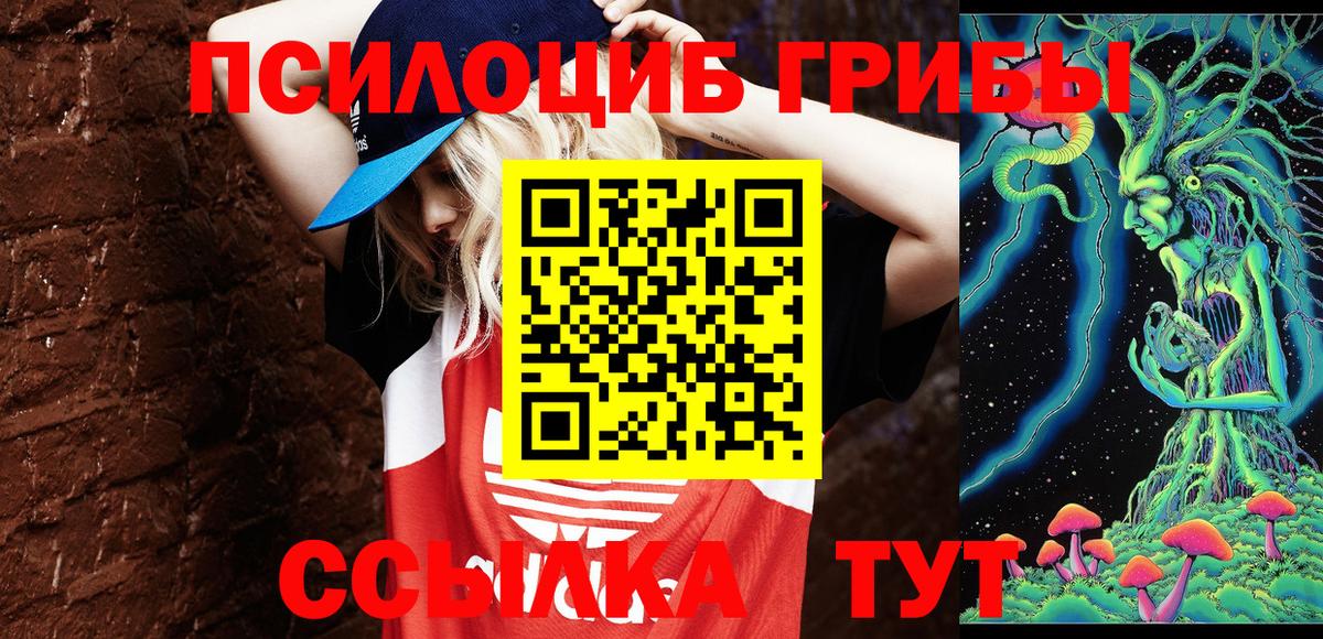 Псилоцибиновые грибы мицелий Луховицы