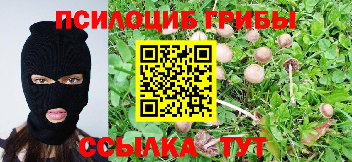 Псилоцибиновые грибы MAGIC MUSHROOMS  Вход с VPN  Луховицы  купить   Псилоцибиновые грибы Cubensis 